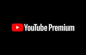 Youtube Premium 12 Months Subscription (Delivered in 5-24 Hours)